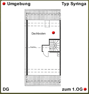 DG Syringa